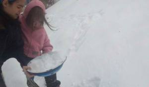 gathering snow